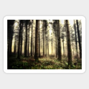 Into the forest I go Sticker